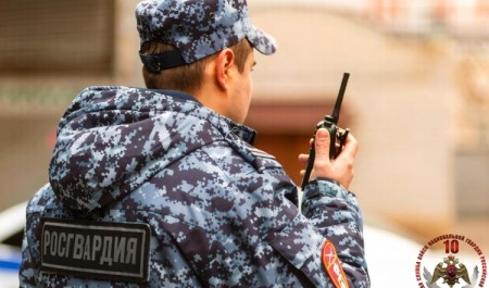 Сотрудники Росгвардии задержали 25-летнего архангелогородца, подозреваемого в хищении товара