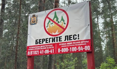 В лесах Архангельской области вводится особый противопожарный режим