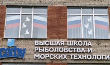 Студенты и сотрудники САФУ присоединились к всероссийским акциям ко Дню России