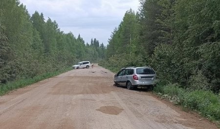 Доездились. Пьянсктво на дорогах Поморья заканчивается плачевно