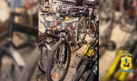 В Архангельской области зафиксирована пандемия похищения велосипедов