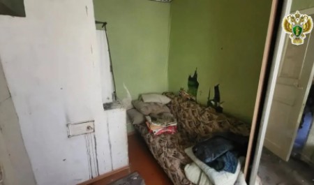 Пинежанка превратила жизнь маленькой дочки в сущий уошмар