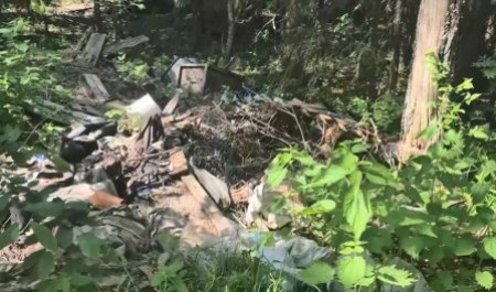 Деревня в Виноградовском округе Поморья сидит на пороховой бочке Деревня в Виноградовском округе Поморья сидит на пороховой бочке