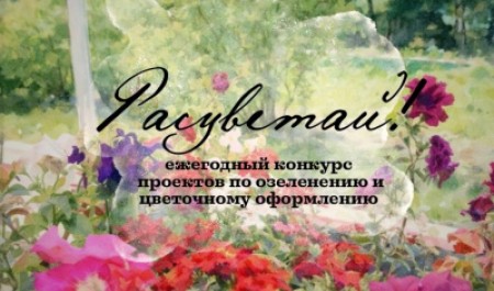 Ассоциация выпускников САФУ подвела итоги конкурса «Расцветай!»