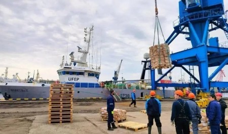 С начала года архангельские рыбаки добыли порядка 34 тысяч тонн водных биоресурсов