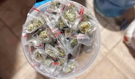 В Архангельске задержаны "наркоботаник и его клиент