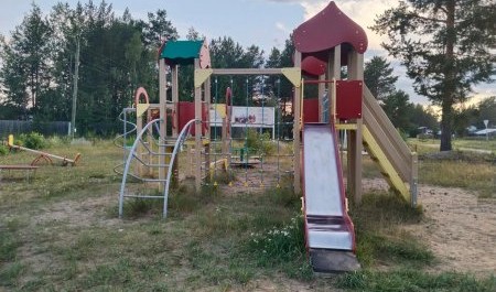 Ребенок из Приозерного получит 50 тысяч за укус в лицо