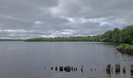 Гость из Карелии попил поморской водочки и утонул в озере Лахта