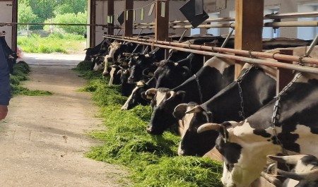 Предприятия сельского хозяйства и торговли Архангельской области переходят на цифровые накладные