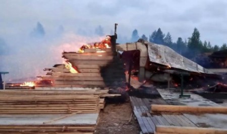 Ночной пожар уничтожил цех частной пилорамы в Архангельской области