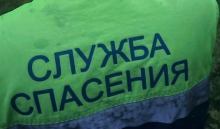 В Архангельске спасателям пришлось освобождать ребенка из березы В Архангельске спасателям пришлось освобождать ребенка из березы