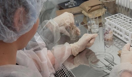 До 2030 года в Архангельской области создадут 28 профильных агротехнологических классов