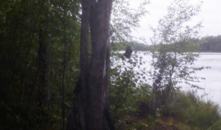 В Архангельской области два брата погибли после опрокидывания лодки