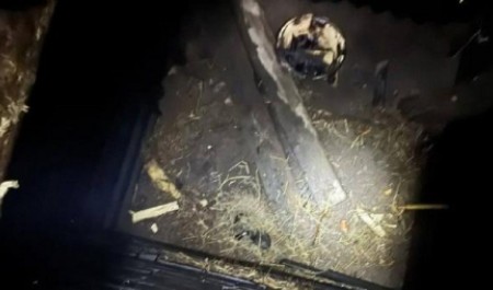 Пенсионер погиб в погребе на юге Архангельской области, пытаясь просушить помещение