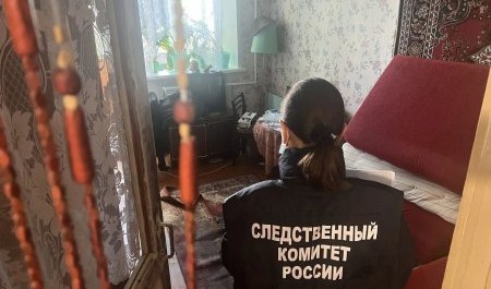 Попойка двух пенсионеров в Онеге закончилась убийством