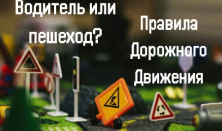 Социально-психологический центр САФУ напоминает о правилах дорожного движения