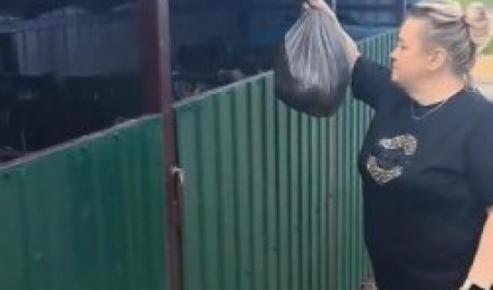 Остров Ягры избавился от чаек