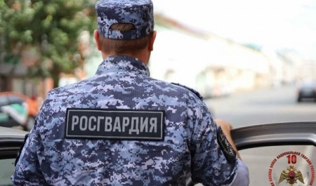 В Няндоме сотрудники Росгвардии задержали местного жителя, объявленного в розыск