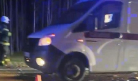 Двенадцать человек погибли в страшном ДТП с лесовозом в Архангельской области