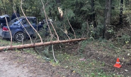 Еще одно смертельное ДТП. Теперь в Вельске