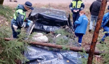 Еще одно гибельное ДТП произошло на трассе в Архангельской области Еще одно гибельное ДТП произошло на трассе в Архангельской области