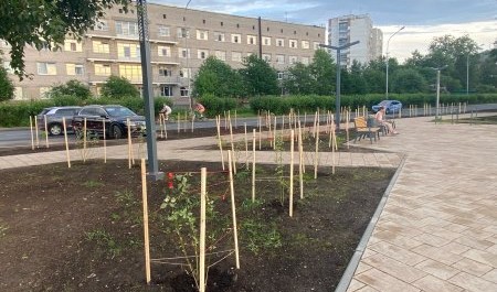 Архангельск зеленеет