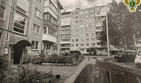 Подросток из Северодвинска "сидел на проценте" у мошенников