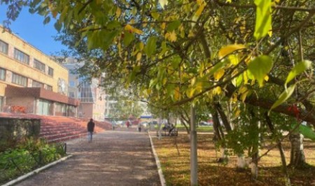 Тепло задержится в Архангельской области, но следующая неделя будет дождливой Тепло задержится в Архангельской области, но следующая неделя будет дождливой