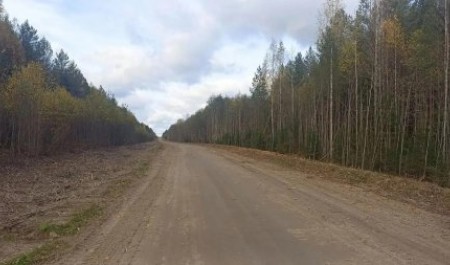 Тайга отступила: трассу Подюга – Кварзангский привели в порядок