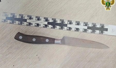 Архангелогородец разобрался со своим знакомым с помощью ножа