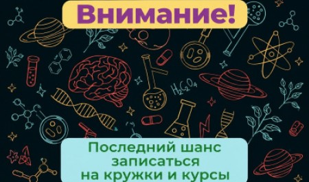 Музей занимательных наук САФУ: набор на кружки и курсы ещё открыт