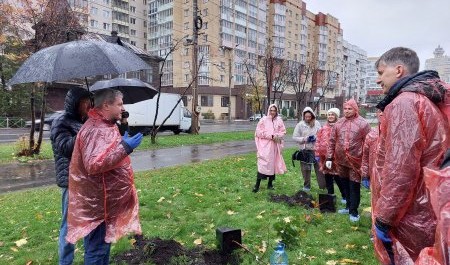 Архангельск превращается в большой яблоневый сад