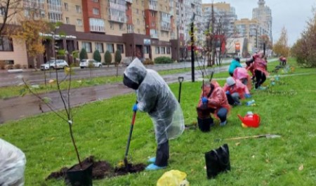 Глава Архангельска поблагодарил «Росгосстрах» за зеленый подарок городу