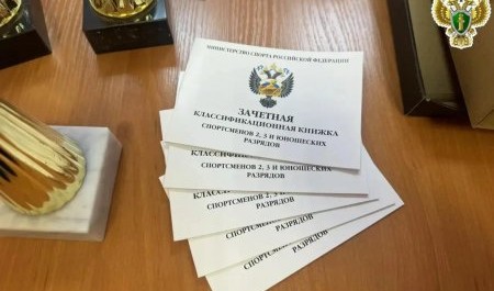 В Северодвинске химичили со спортивными разрядами школьников