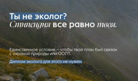 Студентов САФУ приглашают к участию в конкурсе на стипендию Президентского фонда природы