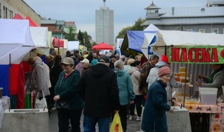 Торговля затмевает другие профессиональные сферы Архангельской области