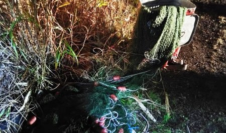 Рыбаки-браконьеры попались в Онежском округе