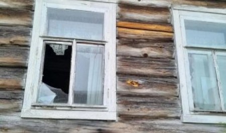 В Архангельской области прокуратура пытается приструнить медведей