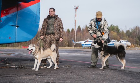 Охотники в Верхней и Нижней Золотице получили приваду и запчасти для автомобиля и продолжают работу по регулированию численности медведей