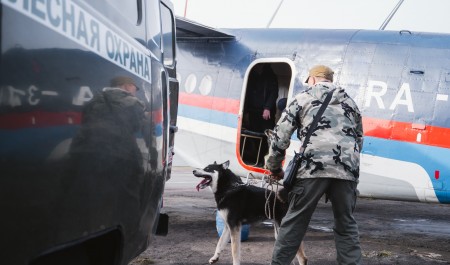 В Золотице проведут ротацию охотников на медведя
